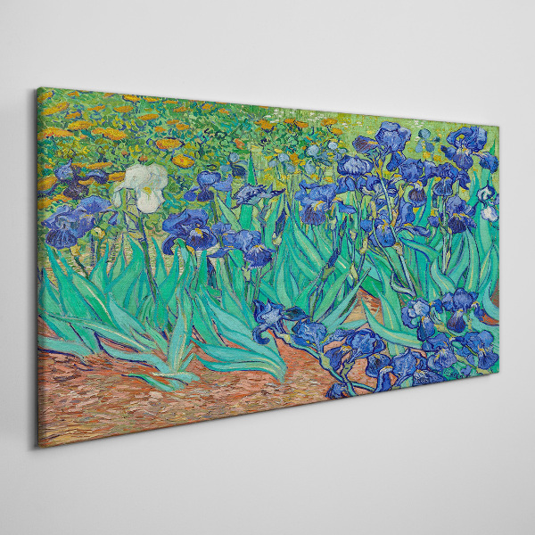 Obraz na plátne Iris in Bloom