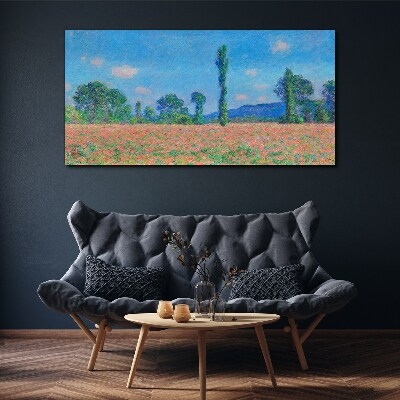 Obraz na plátne Lúky Monetove krajina