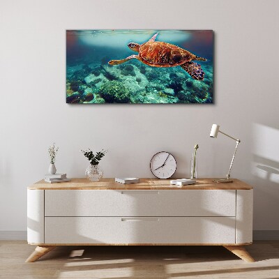 Obraz canvas Korytnačka v pokojných vodách