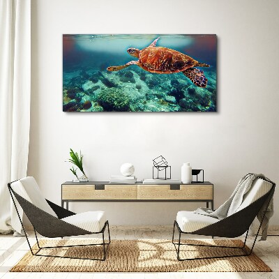 Obraz canvas Korytnačka v pokojných vodách