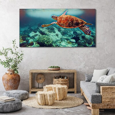 Obraz canvas Korytnačka v pokojných vodách