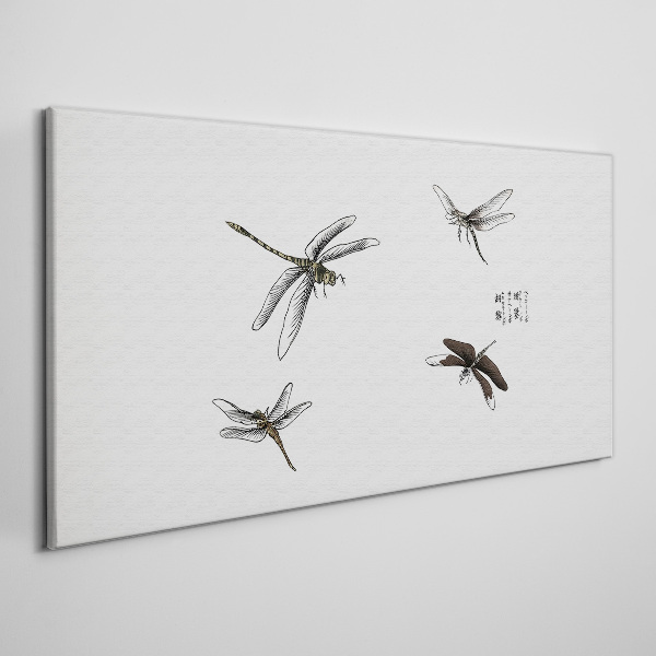 Obraz na plátne Hmyz z červov