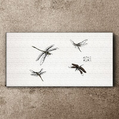 Obraz na plátne Hmyz z červov