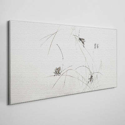 Obraz na plátne moderné hmyz