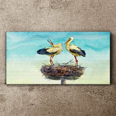 Obraz canvas Zvieratá vtáčie labute