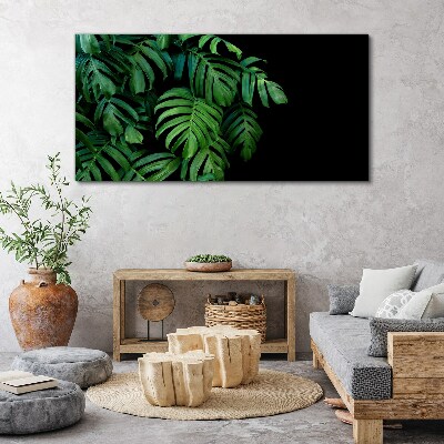 Obraz canvas Zelené listy na čiernom pozadí