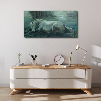 Obraz canvas Lesné kone voľne žijúcich živočíchov