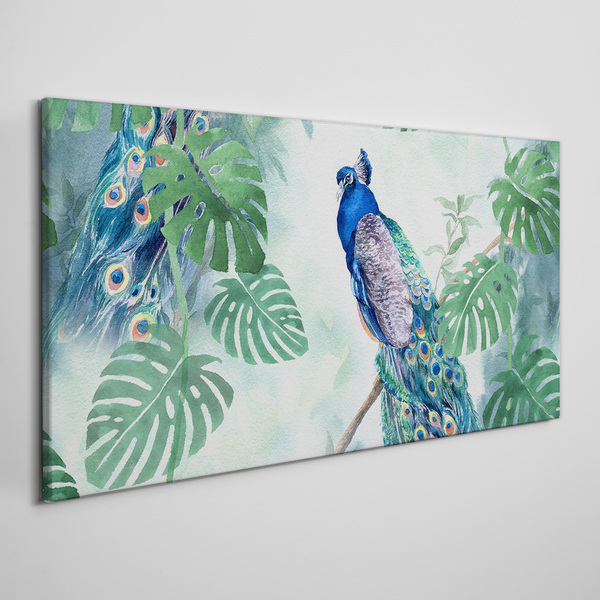 Obraz canvas Páv v tropickej džungli