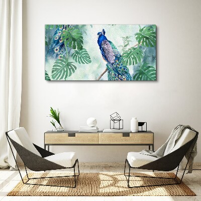 Obraz canvas Páv v tropickej džungli
