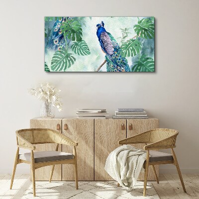 Obraz canvas Páv v tropickej džungli
