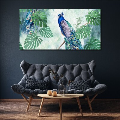 Obraz canvas Vetva listy vták páv