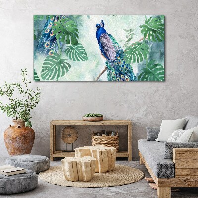 Obraz canvas Páv v tropickej džungli