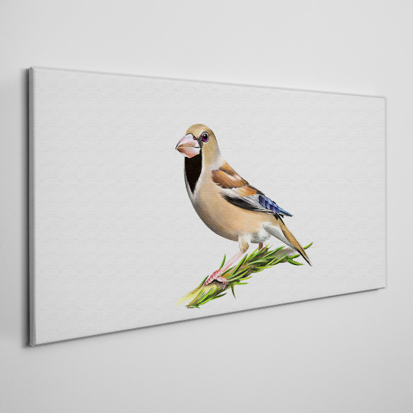 Obraz canvas Vták na konári
