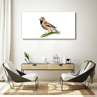 Obraz canvas Vták na konári