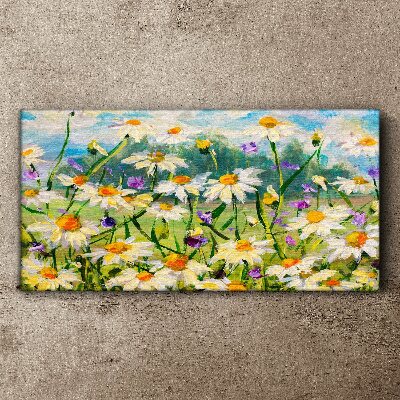Obraz canvas Kvetinový raj na letnom slnku