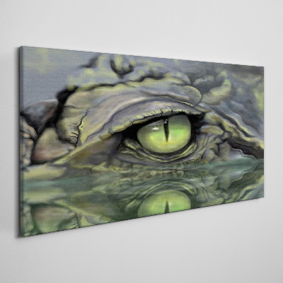 Obraz canvas Žabie oko v odraze vody