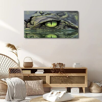 Obraz canvas Zvieracie krokodílej očné voda