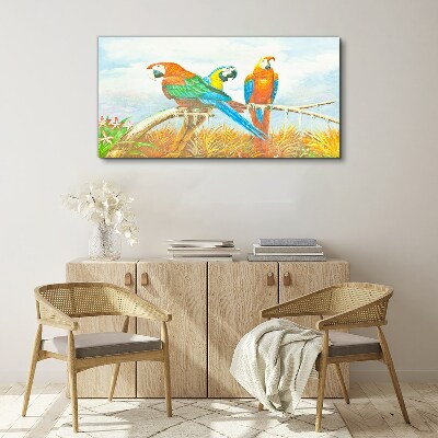 Obraz canvas Zvieracie vtáky papagáj mraky