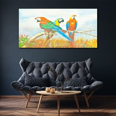 Obraz canvas Zvieracie vtáky papagáj mraky