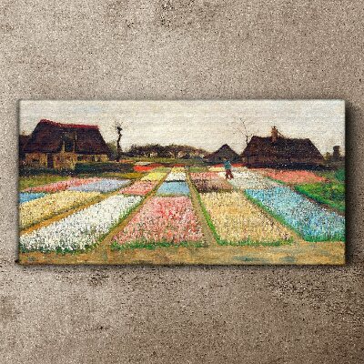 Obraz na plátne Jarné tulipánové polia