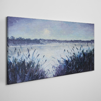 Obraz na plátne Jazero Nebo Noc