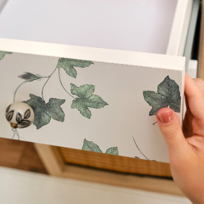 Nálepka na nábytok Listy brečtanu