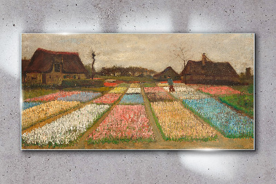 Skleneny obraz Jarné tulipánové polia