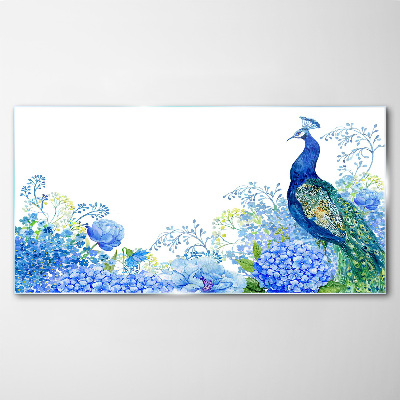 Skleneny obraz Kvety vták peacock