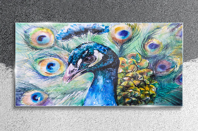 Skleneny obraz Maľovanie zvieracie vták páv