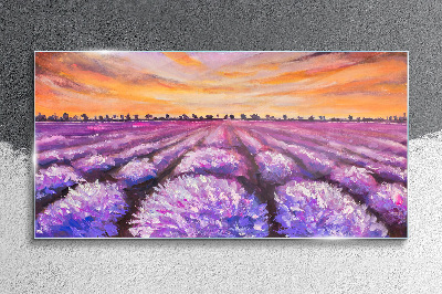 Skleneny obraz Levanduľové polia západ slunce