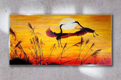 Skleneny obraz Zvieratá vtáčí západ slnka