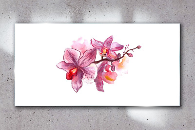 Skleneny obraz Ružové orchidey na bielom pozadí