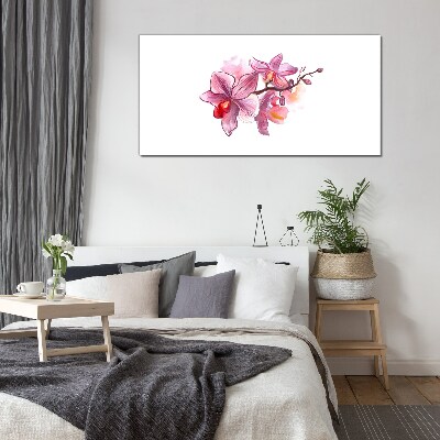 Skleneny obraz Ružové orchidey na bielom pozadí