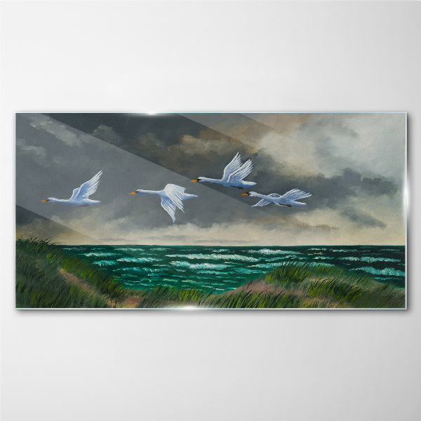 Skleneny obraz Vtáky morskej oblohy labute