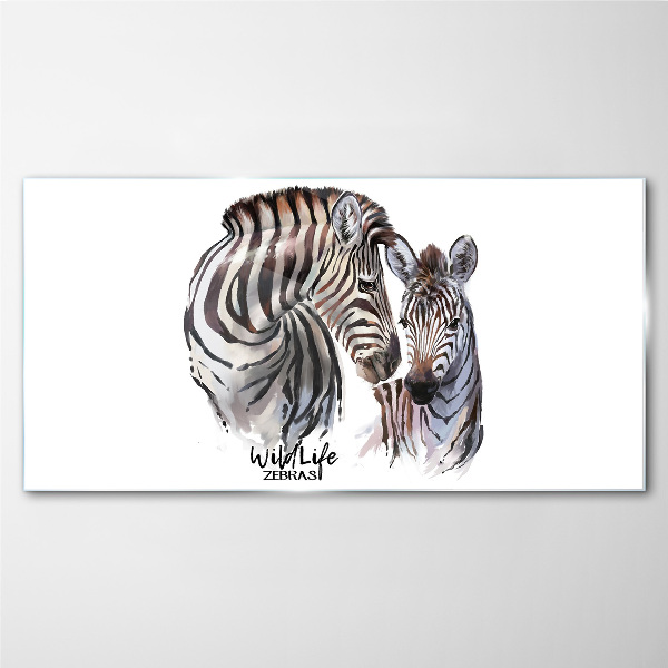 Skleneny obraz Zebra vo voľnej prírode