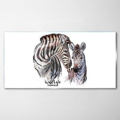 Skleneny obraz Zebra vo voľnej prírode