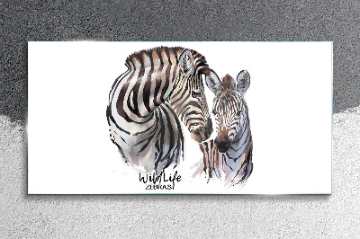 Skleneny obraz Zebra vo voľnej prírode