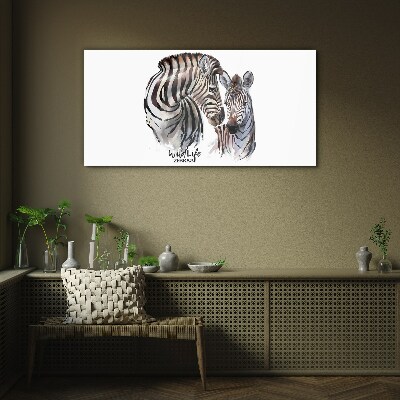 Skleneny obraz Zebra vo voľnej prírode