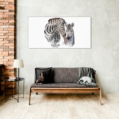 Skleneny obraz Zebra vo voľnej prírode