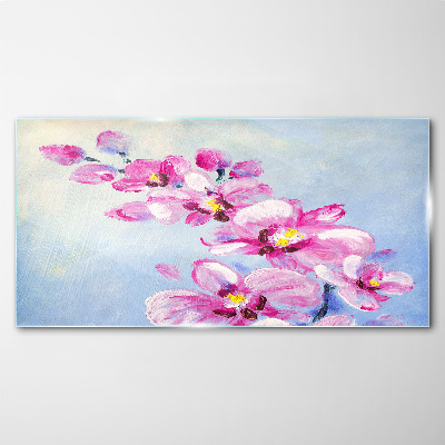 Skleneny obraz Ružové orchidey na modrom pozadí