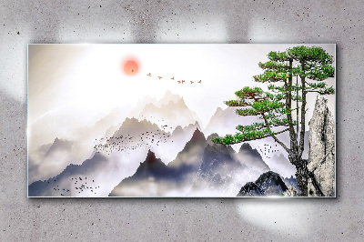Skleneny obraz Horské hmly slnko strom