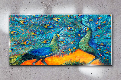 Skleneny obraz Zvieratá vtáky peacock