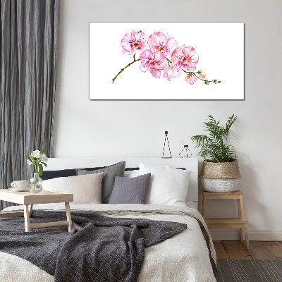 Skleneny obraz Ružové orchidey na bielom pozadí