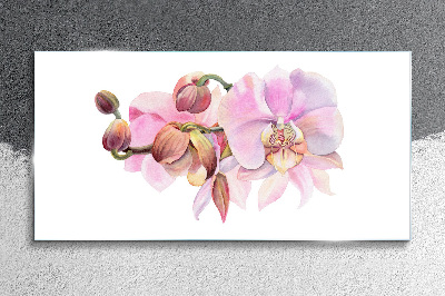 Skleneny obraz Orchidea v pastelových odtieňoch
