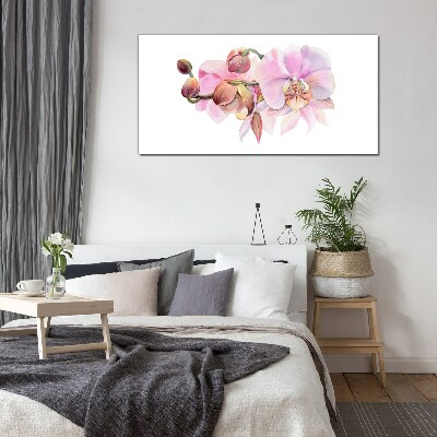 Skleneny obraz Akvarel orchidea kvetina