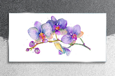 Skleneny obraz Kvetinová krása orchideí