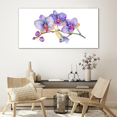 Skleneny obraz Kvetinová krása orchideí