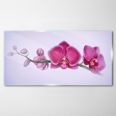 Skleneny obraz Orchidey v jemných odtieňoch ružovej