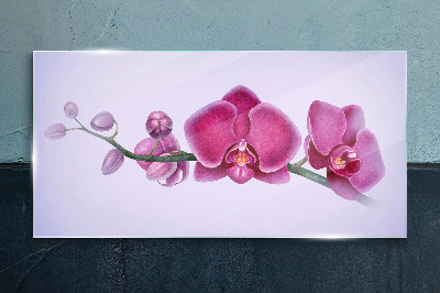 Skleneny obraz Orchidey v jemných odtieňoch ružovej