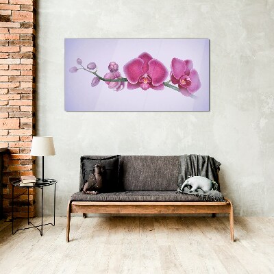 Skleneny obraz Orchidey v jemných odtieňoch ružovej